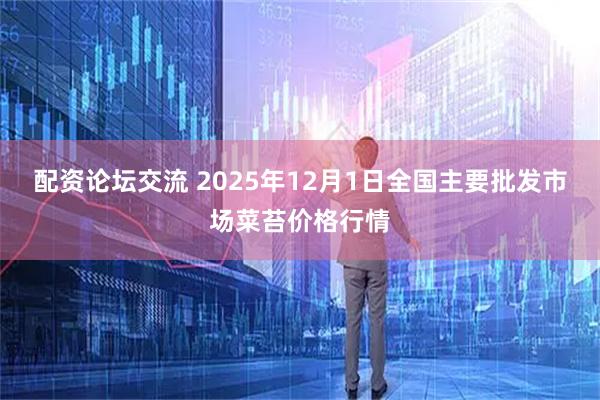 配资论坛交流 2025年12月1日全国主要批发市场菜苔价格行情